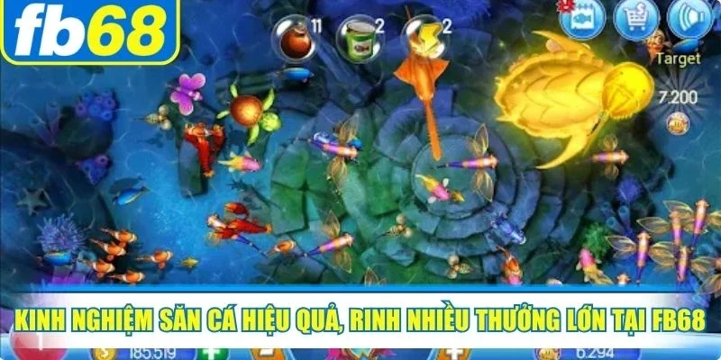 Kinh nghiệm săn cá hiệu quả, rinh nhiều thưởng lớn tại FB68